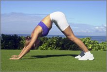 back stretching exercise